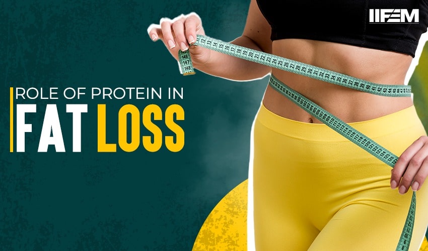 role of protein in fat loss